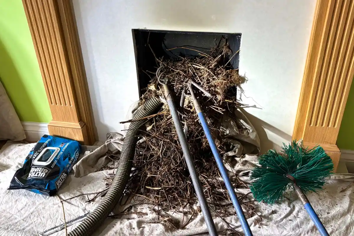 Chimney sweep bird nest blockage removal from long-disused flue in Faversham, Kent – Allchimneys Kent
